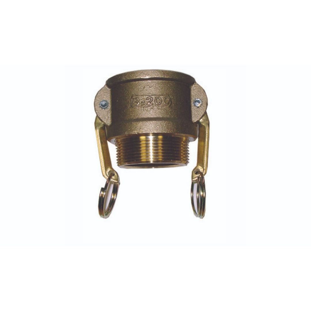 Type B Camlock x BSPT Male Brass