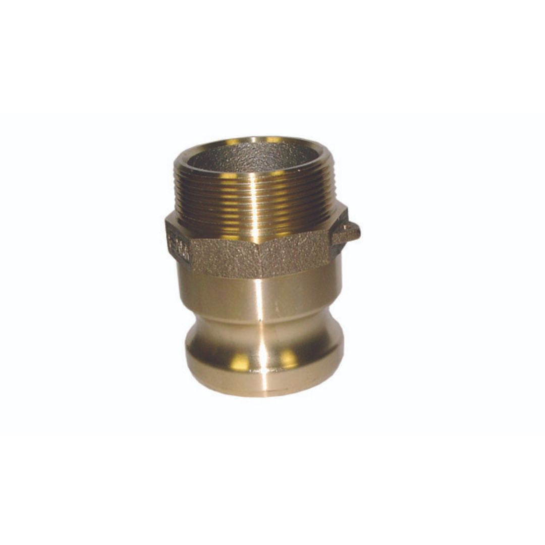 Type F Camlock x BSPT Male Brass