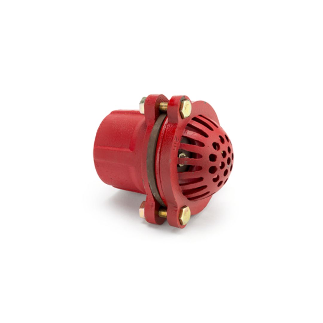 Foot Valve & Strainer BSPP Female