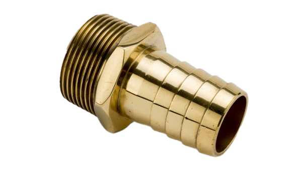 Brass Hosetails